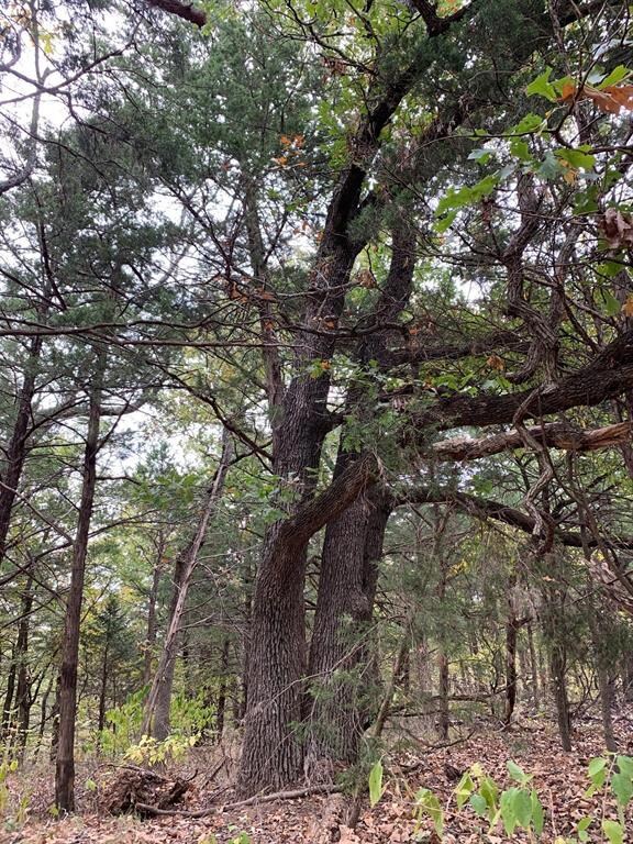 452 Clubhouse Dr, Gordonville, TX 76245 - photo 5