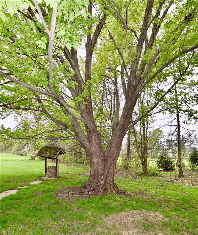 711 N Chillicothe Rd, Aurora, OH 44202 - photo 4