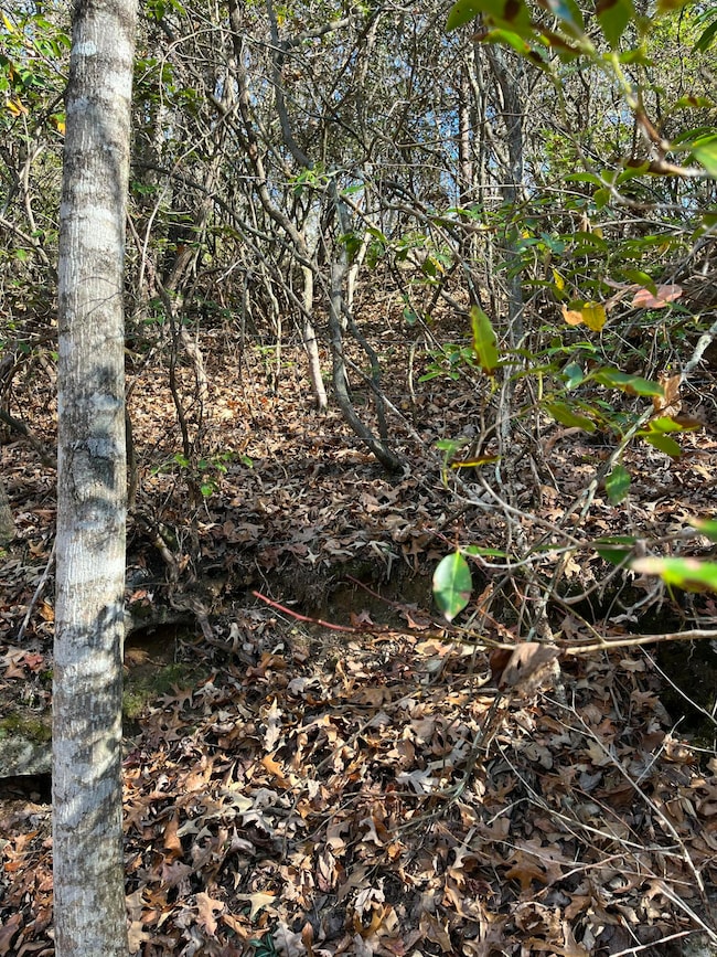 5 Acres Hendon Rd, Graysville, TN 37338 - photo 5