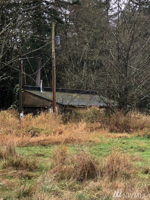 3175 Haynie Rd, Custer, WA 98240 - photo 3