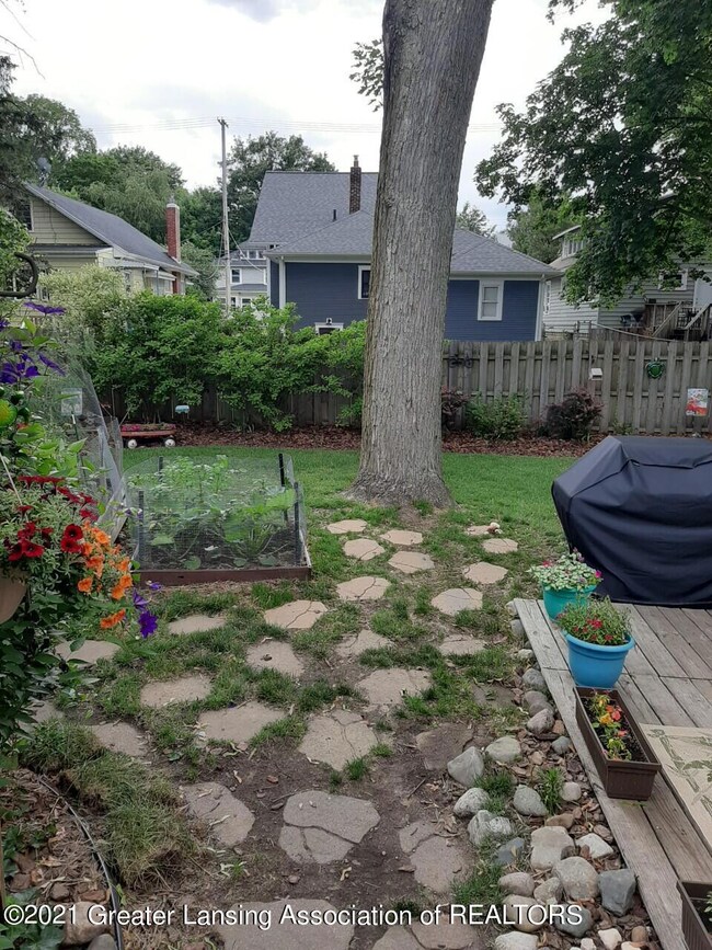 Back Yard