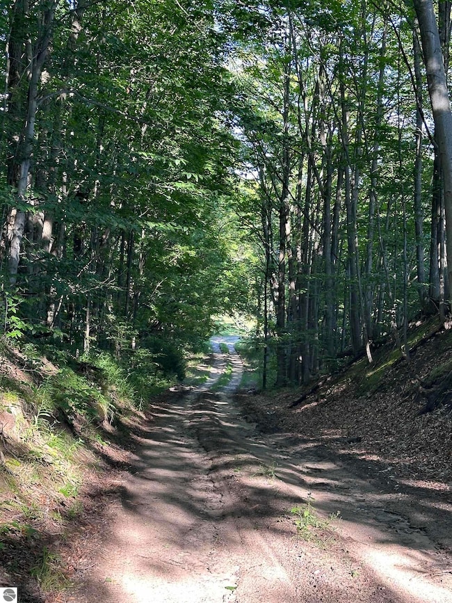 00 Hansel Strause Rd E, Custer Township, MI 49615 - photo 2