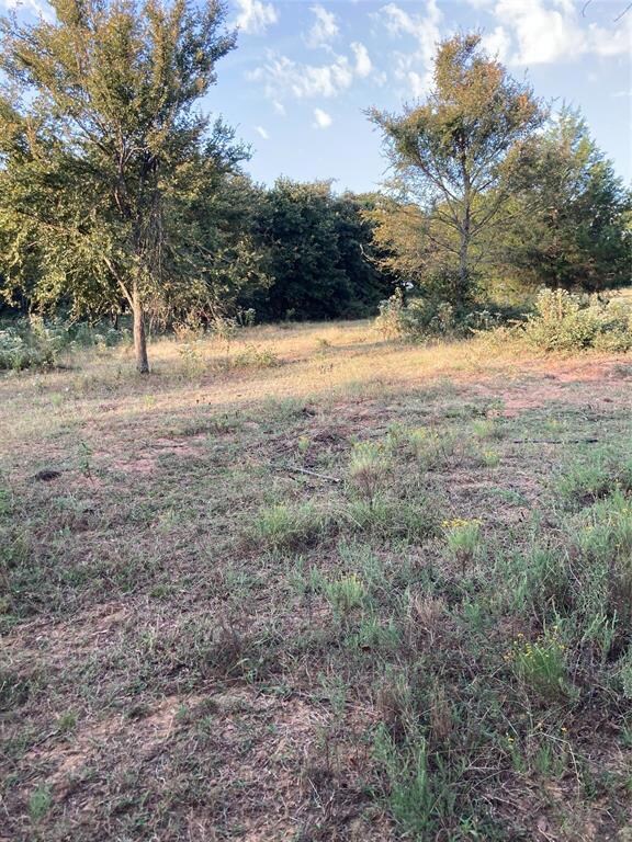 CR 113 County Road 113, Whitesboro, TX 76273 - photo 3