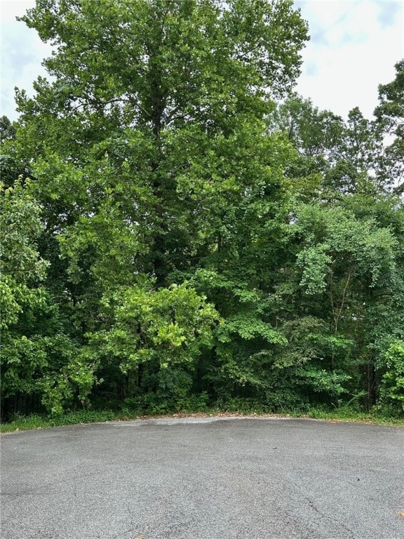 Lots 3 & 4 Elton Ln, Bella Vista, AR 72714 - photo 2