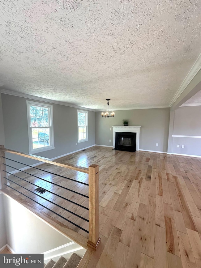 17265 Bel Pre Rd, Culpeper, VA 22701 - photo 5