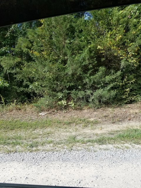 146 Deep Creek Point, Roanoke Rapids, NC 27870 - photo 4