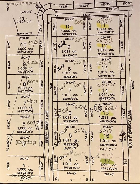 6013 Raspberry Ln, Joshua, TX 76058 - photo 2