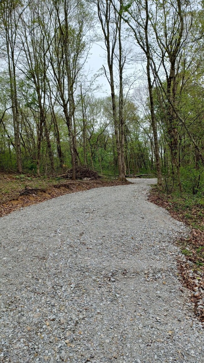 Buckingham lot