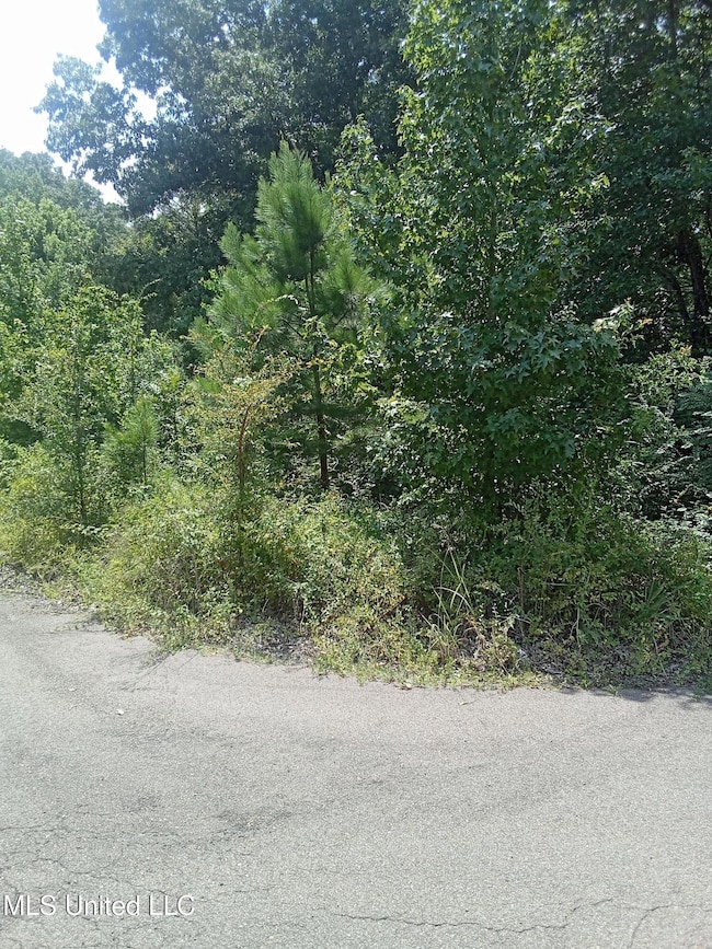 Rowan Oaks - Lot 46 pictures