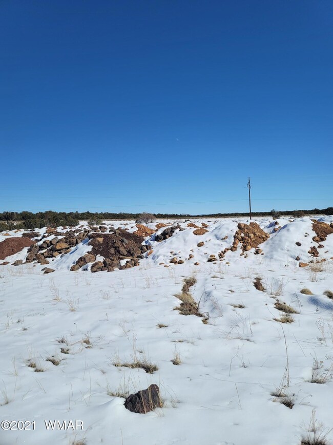 2350 N 16th St, Show Low, AZ 85901 - photo 6