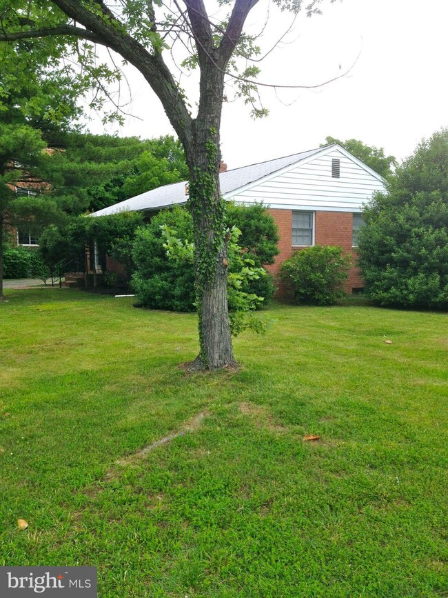 1101 N Quaker Ln, Alexandria, VA 22302 - photo 2