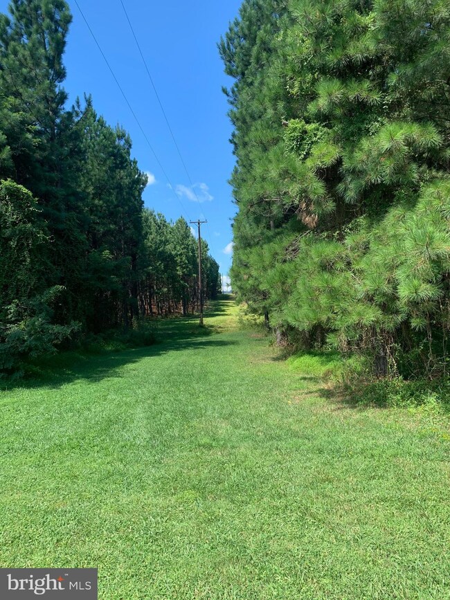 1 Black Oak Rd, Warfordsburg, PA 17267 - photo 6