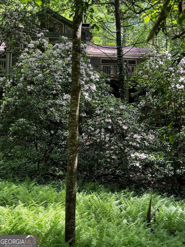 105 Chinquapin Ln, Clarkesville, GA 30523 - photo 3