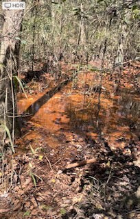 0 Leitner Mill Rd, Harlem, GA 30814 - photo 3