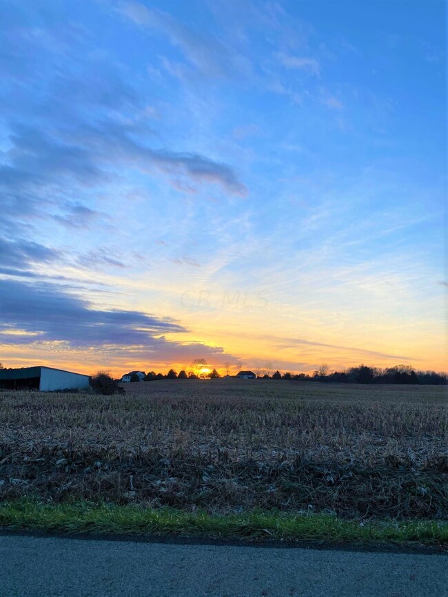 Sunsets