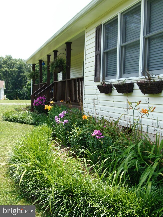 17320 Mountain Track Rd, Orange, VA 22960 - photo 5