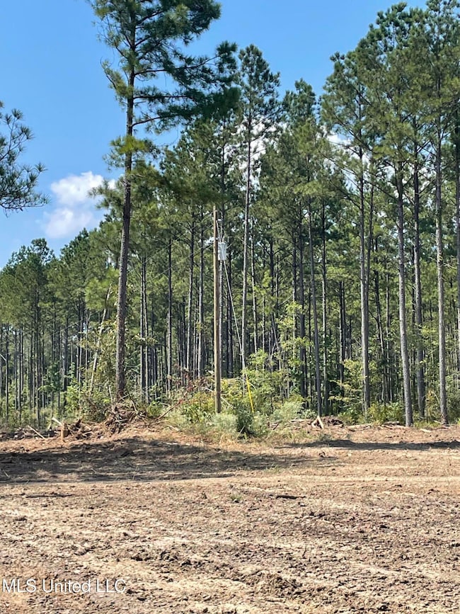 0 Pisgah Rd, Brandon, MS 39047 - photo 7