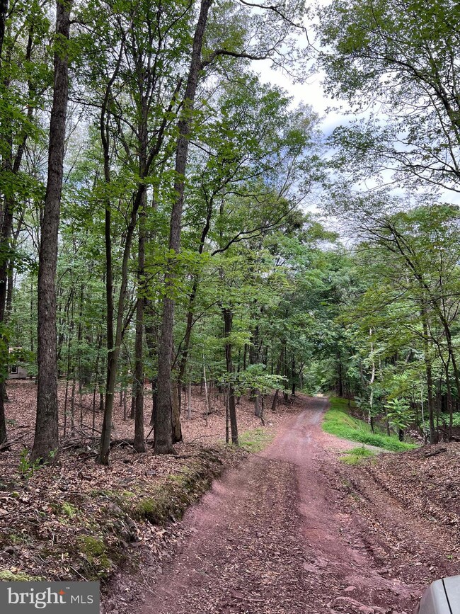 0 Gaither Rd unit WVMO2004810, Great Cacapon, WV 25422 - photo 5