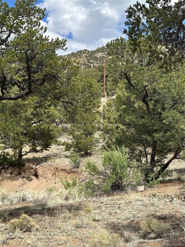 158 Cedar Ridge Rd, Mosca, CO 81146 - photo 4