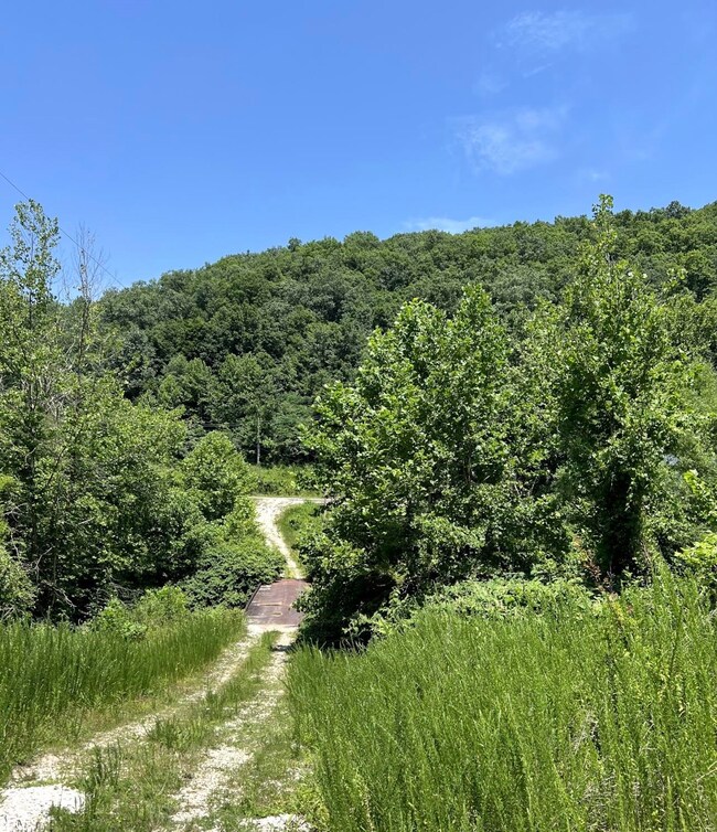 4 Mile Creek 30 25 Acres, Branchland, WV 25506 - photo 7