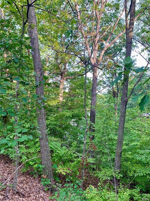 288 Sequoyan Ct, Clay Township, MO 63435 - photo 2