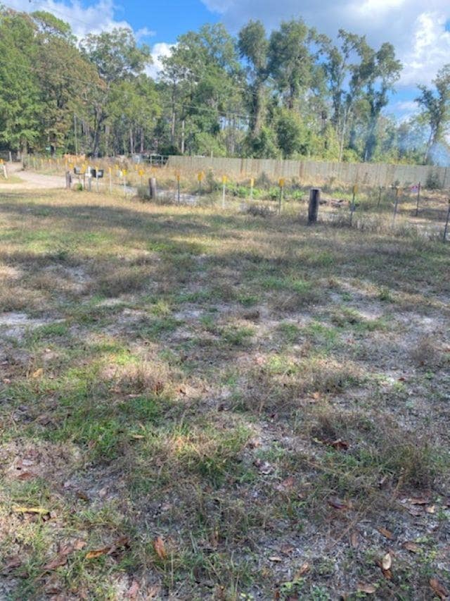 xx Ashley Hall Rd, Crawfordville, FL 32327 - photo 3