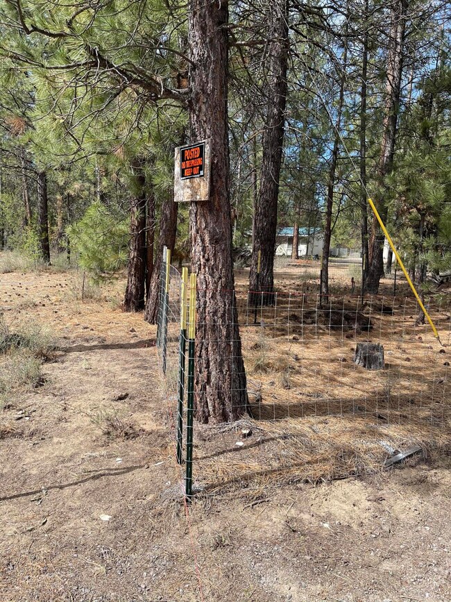 doe loop 2