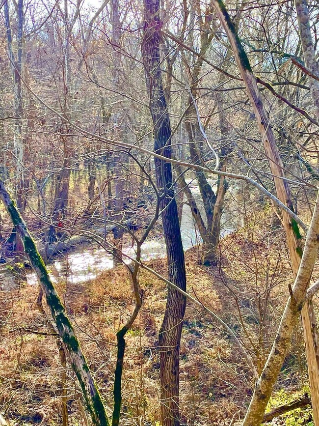 231 Highway 1003, Somerset, KY 42501 - photo 2