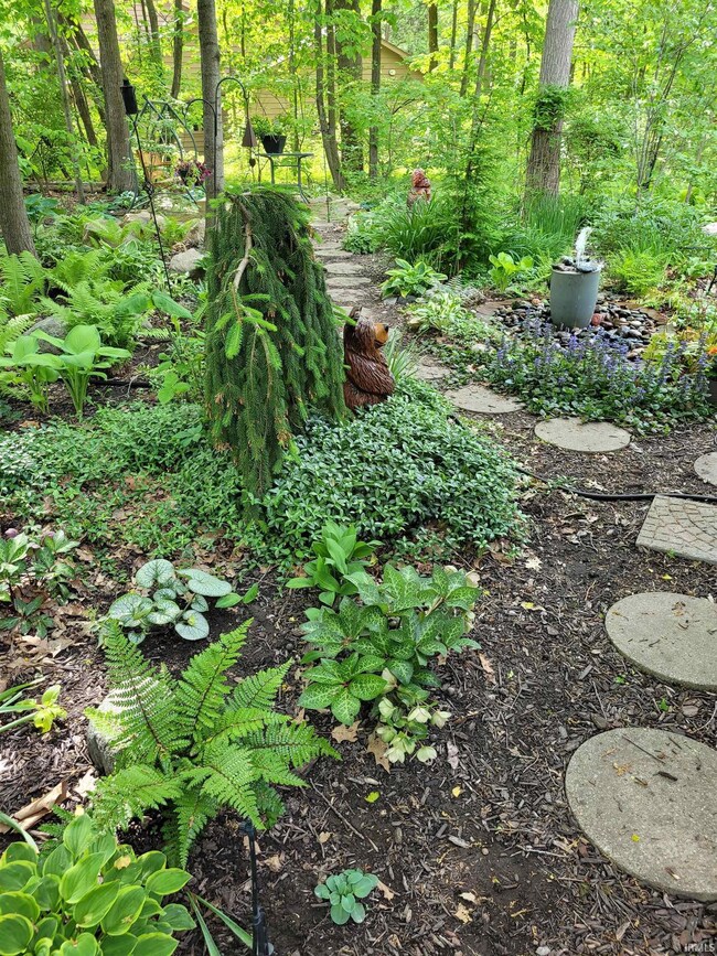 Pictures of the backyard in the Spring & Summer