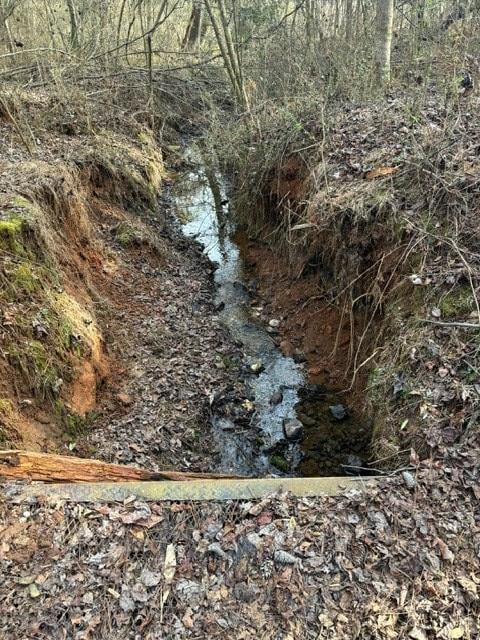 2994 Mount Zion Rd, Carrollton, GA 30117 - photo 3