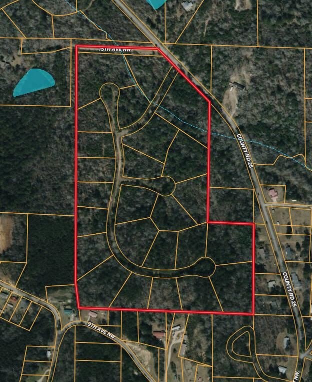 County Road 25, Reform, AL 35481 - photo 3