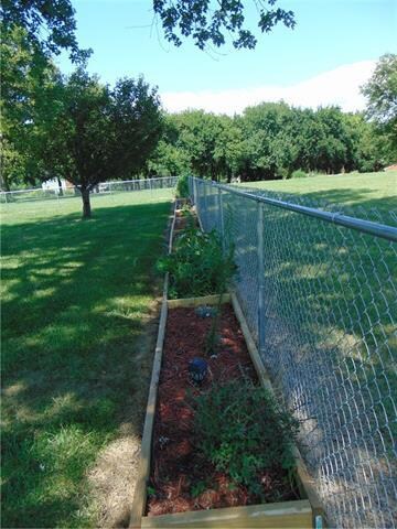 907 N Jackson St, Raymore, MO 64083 - photo 7