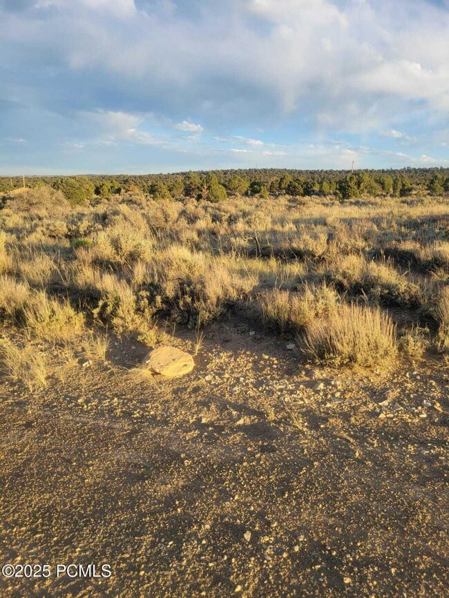 31565 W 8820 S unit 10A, Duchesne, UT 84021 - photo 3