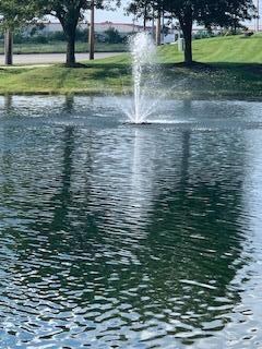 Pond 1