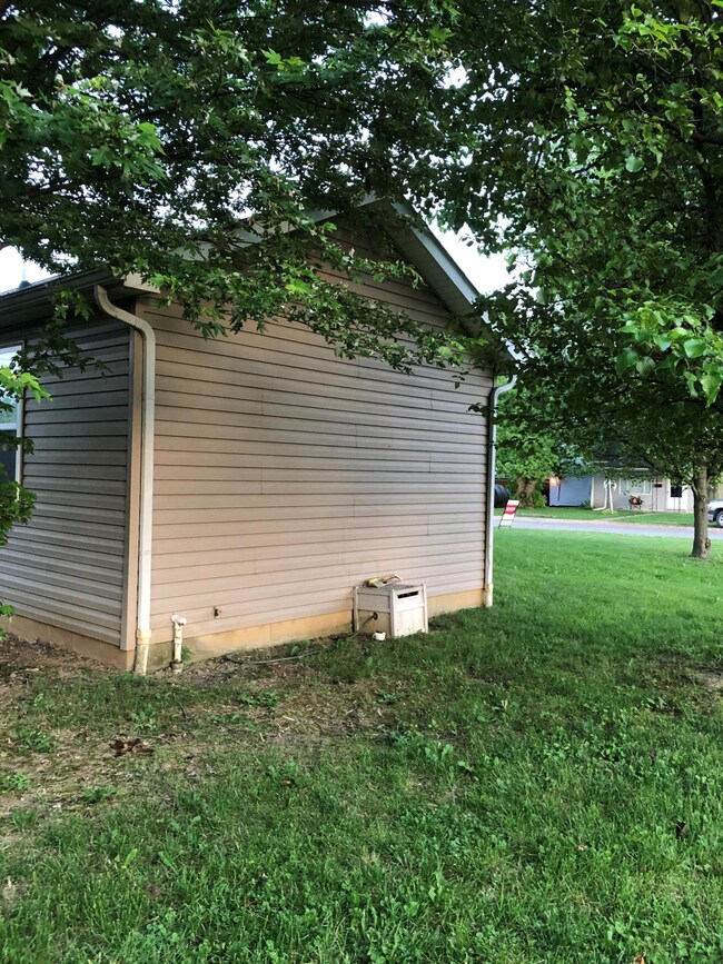 clark - side yard