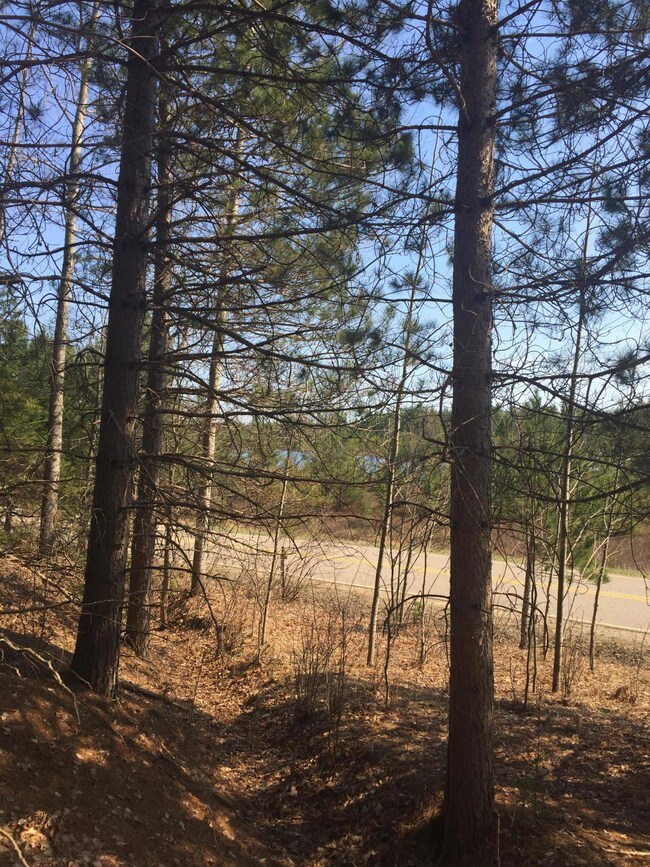 THOMPSON ROAD FROM PROPERTY