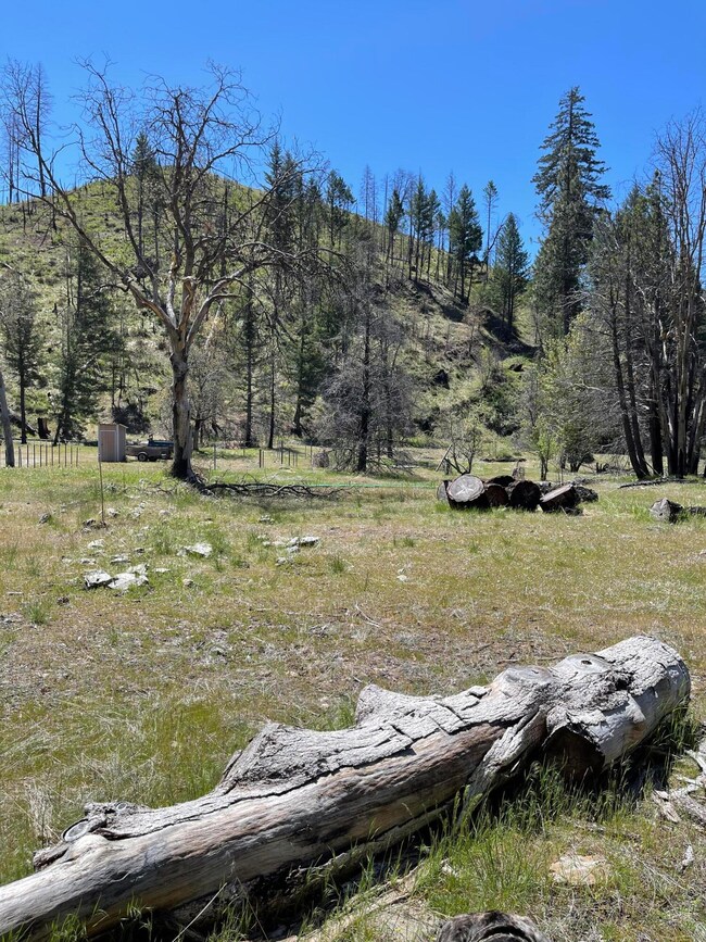 300 Cedar Gap Rd, Ruth Lake, CA 95526 - photo 6