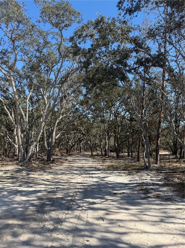 12015 Gladwin Ave, Hudson, FL 34667 - photo 4