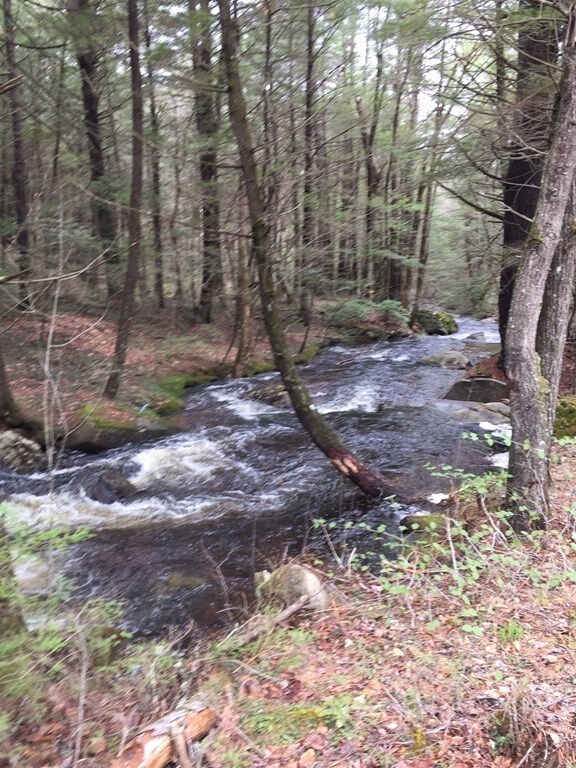 55 Kentfield Rd, Wendell, MA 01380 - photo 2