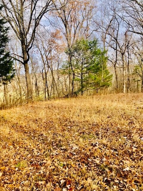 15037 Woolsey Rd, West Fork, AR 72774 - photo 2