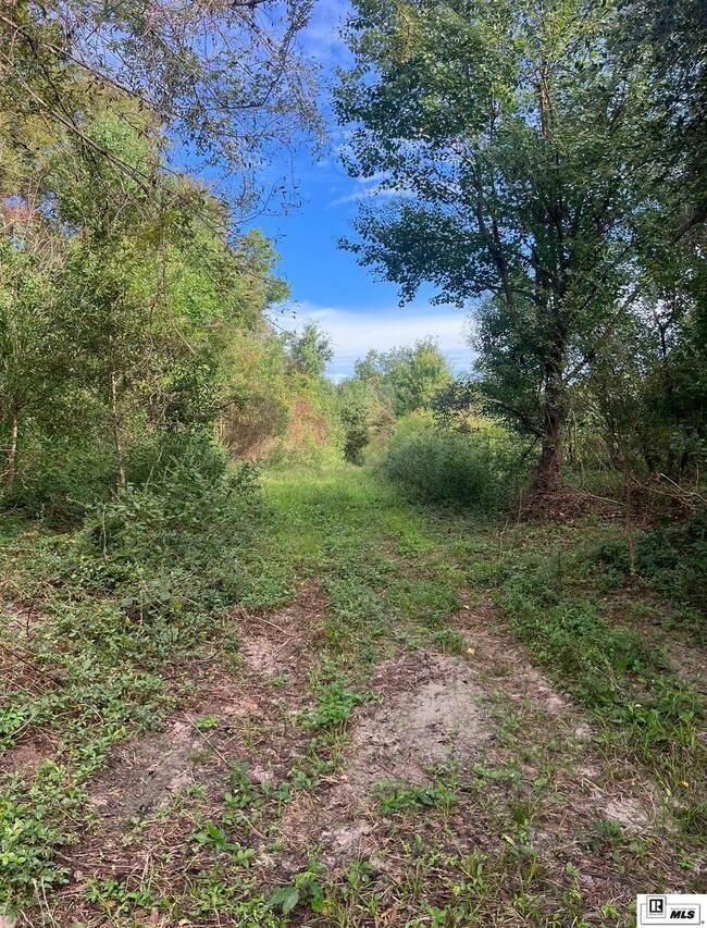 0 Old Snipe Rd, Ruston, LA 71270 - photo 6