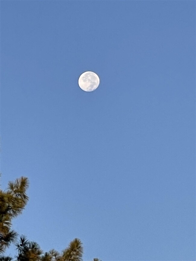 13583 E 44th Dr, Yuma, AZ 85367 - photo 7