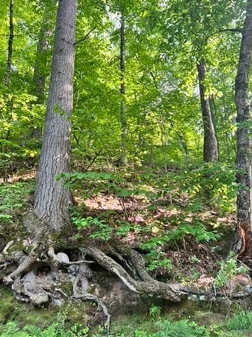 28xxx 89th Ave, Boyd, WI 54726 - photo 4