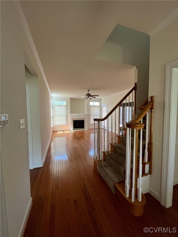 11904 Markey Cir, Midlothian, VA 23112 - photo 3