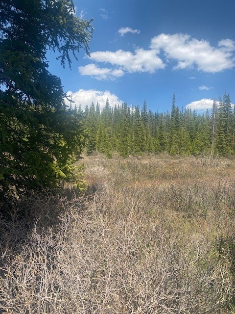 0 Tbd unit S1027519, Fairplay, CO 80440 - photo 2