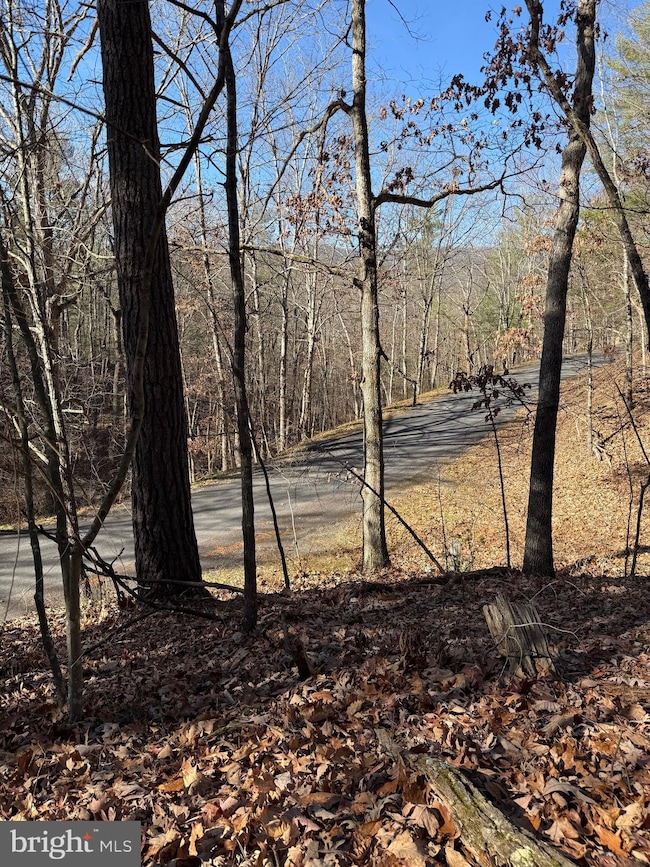 0 Susan Rd, Mount Jackson, VA 22842 - photo 6