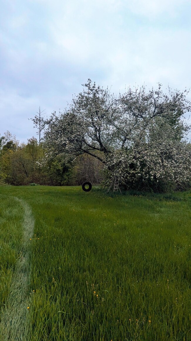 22 Pleasant St, Solon, ME 04979 - photo 4