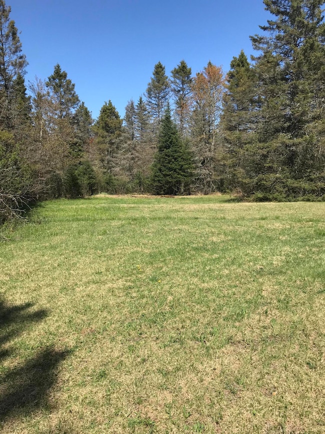 0 E Sand Ridge Rd, Stalwart, MI 49736 - photo 6