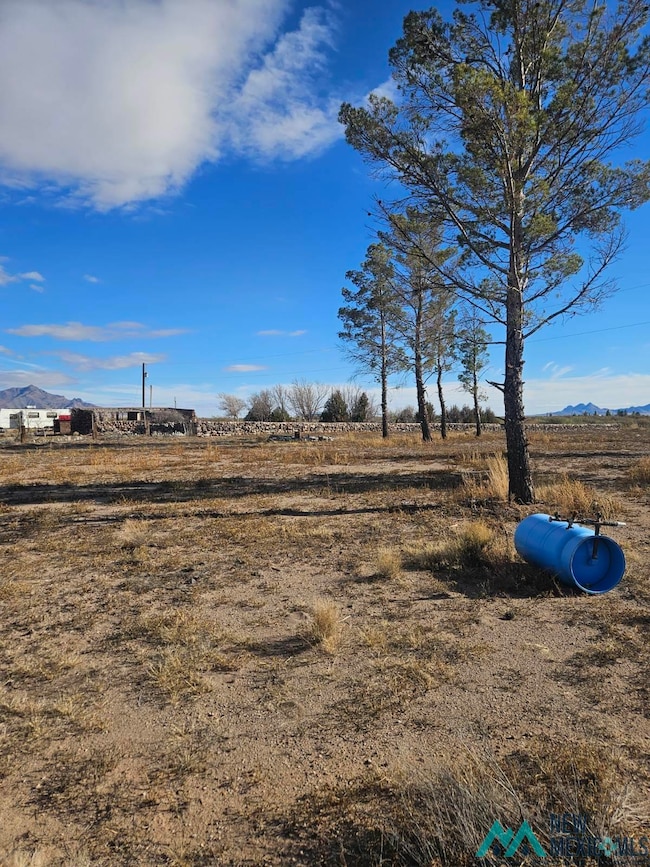 3075 Elote Rd SW, Deming, NM 88030 - photo 2