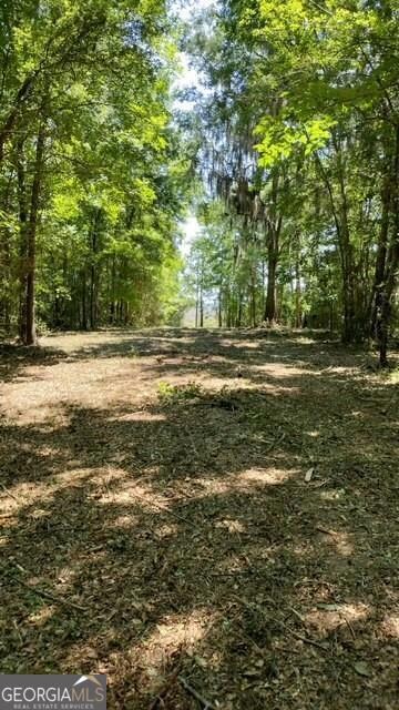 Path is cleared to access Lots 18, 22 as well as t